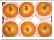Grafted Pear Varieties