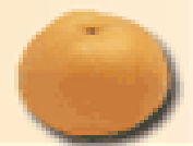 Xinpu Pear