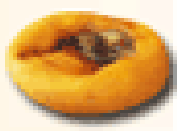 Sun-Dried Persimmon