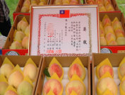 Honey Peach